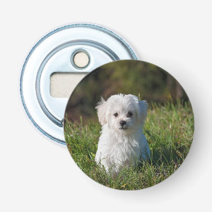 Schattige witte puppy button flesopener