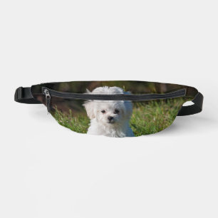 Schattige witte puppy heuptasje
