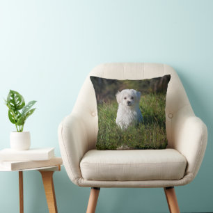 Schattige witte puppy kussen