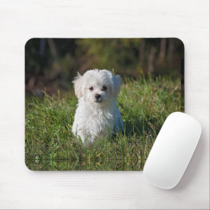 Schattige witte puppy muismat