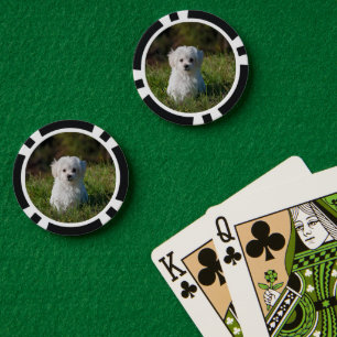 Schattige witte puppy poker chips