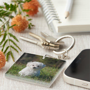 Schattige witte puppy sleutelhanger