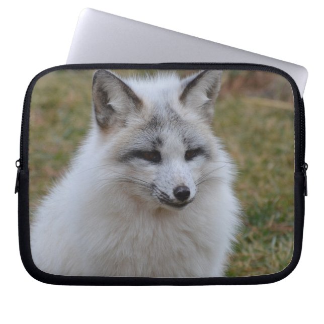 Schattige witte vos laptop sleeve (Voorkant)