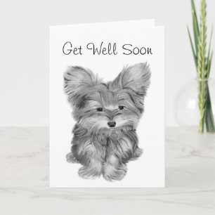 Schattige Yorkie Hond Dank je en Beterschap Groet  Kaart