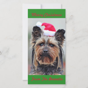 SCHATTIGE YORKIE IN SANTA HOED FLAT FEESTDAGENKAART