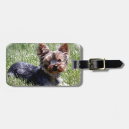 Schattige Yorkie Meerdere producten geselecteerd Bagagelabel