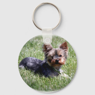 Schattige Yorkie Sleutelhanger