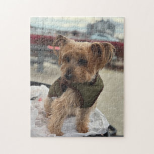 Schattige Yorkie / Westie bij de Cider Molen Legpuzzel