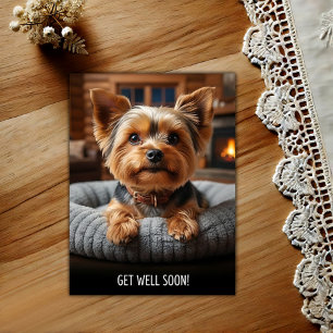 Schattige Yorkshire Terrier Beterschap Ansichtkaar Briefkaart