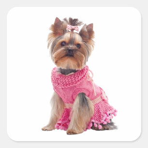 Schattige Yorkshire Terrier Diva Yorkie Puppy Hond Vierkante Sticker