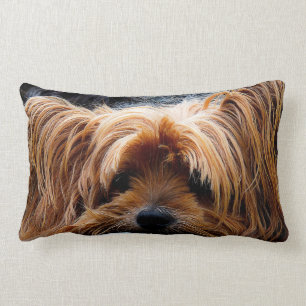 Schattige Yorkshire Terrier hond Kussen