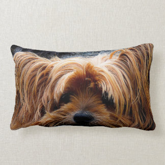 Schattige Yorkshire Terrier hond Kussen