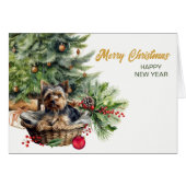 Schattige Yorkshire Terrier Hondenrieten Mand Kers (Voorkant Horizontaal)