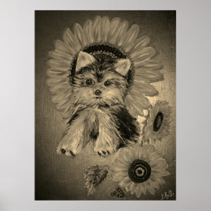 Schattige Yorkshire Terrier met Zonnebloemen Poster