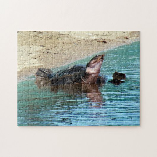 Schattige Zachte Schildschildpad op de strand Legpuzzel (Horizontaal)