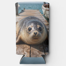 Schattige zeehond op bootsteiger oceenstak