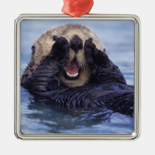 Schattige Zeeotter Alaska, VS Metalen Ornament