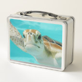 Schattige Zeeschildpad (Achterkant)