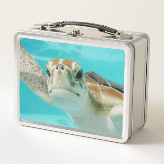 Schattige Zeeschildpad (Voorkant)