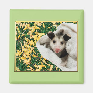 Schattige Zoete Baby Opossum Magneet
