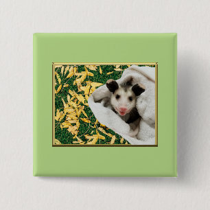 Schattige Zoete Baby Opossum Vierkante Button 5,1 Cm