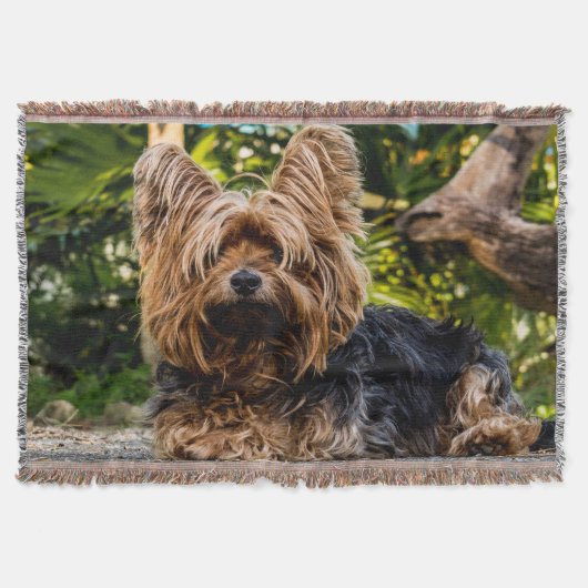 Schattige zoete Yorkshire terrier in het bos Deken (Voorkant)