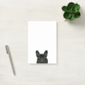 Schattige zwart frans buldog franse foto: post-it® notes (Kantoor)