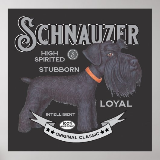 Schattige Zwart Schnauzer Poster (Voorkant)
