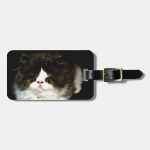 Schattige zwart wit kitten kat ragdoll foto bagagelabel
