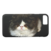 Schattige zwart wit kitten kat ragdoll foto Case-Mate iPhone case (Achterkant (Horizontaal))