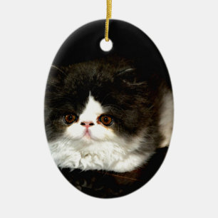 Schattige zwart wit kitten keramisch ornament