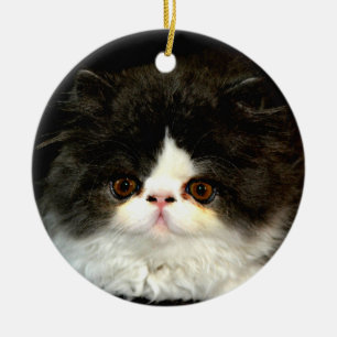 Schattige zwart wit kitten keramisch ornament