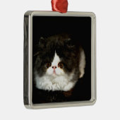 Schattige zwart wit kitten metalen ornament (Rechts)
