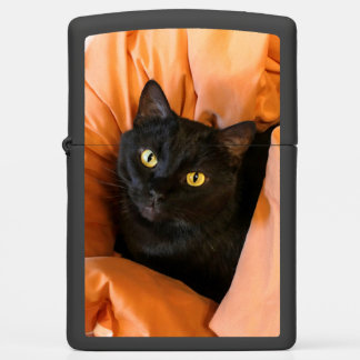 Schattige Zwarte Kat