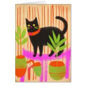 Schattige zwarte kat (Voorkant)