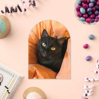 Schattige Zwarte Kat Acryl Uitnodigingen