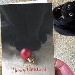 Schattige Zwarte Kat Meowy Kerstmis Huisdier Vakan Feestdagen Kaart