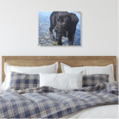 Schattige zwarte lab Puppy Dog Canvas Afdruk (Insitu (Slaapkamer))
