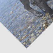 Schattige zwarte lab Puppy Dog Tissuepapier (Detail)