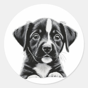 Schattige Zwarte & Witte Puppy – Lief Hond Sticker
