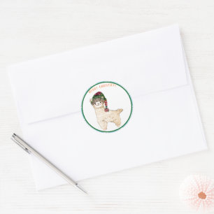 Schattigee alpaca met feestelijk pet ronde sticker