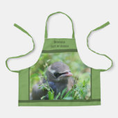 Schattigee Baby Cedar Waxwing Bird gepersonaliseer Schort (Voorkant)