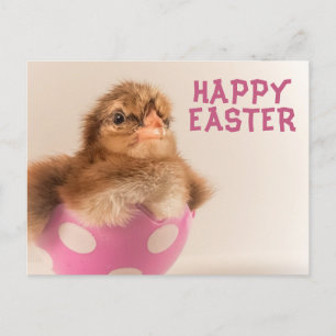 Schattigee Baby Chick in Easter Egg Feestdagenkaart