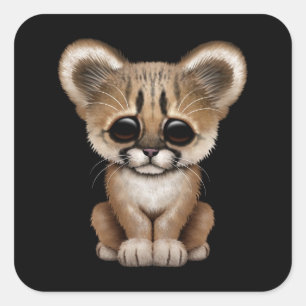 Schattigee Baby Cougar Cub op zwart Vierkante Sticker