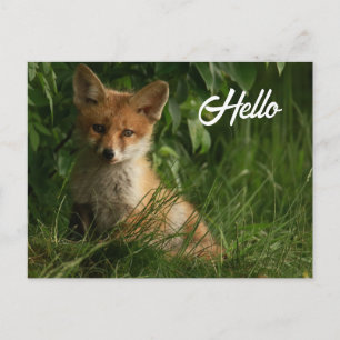 Schattigee Baby Fox in een groen bos Briefkaart