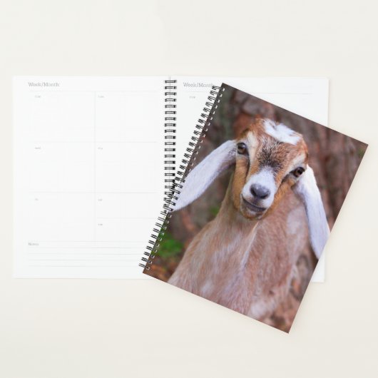 Schattigee Baby Goat Custom Planner (Display)