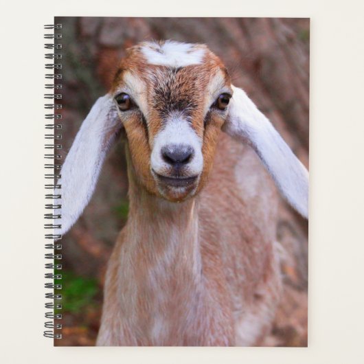 Schattigee Baby Goat Custom Planner (Voorkant)