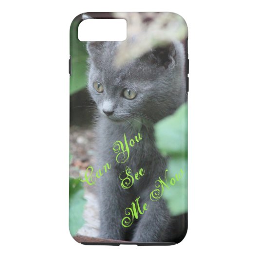 Schattigee Baby Grey Kitten iPhone Hoesje (Achterkant)