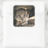 Schattigee Baby Lion Cub Stickers (Tas)