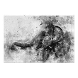Schattigee Baby Olifant Zwart-wit Waterverf Foto Afdruk